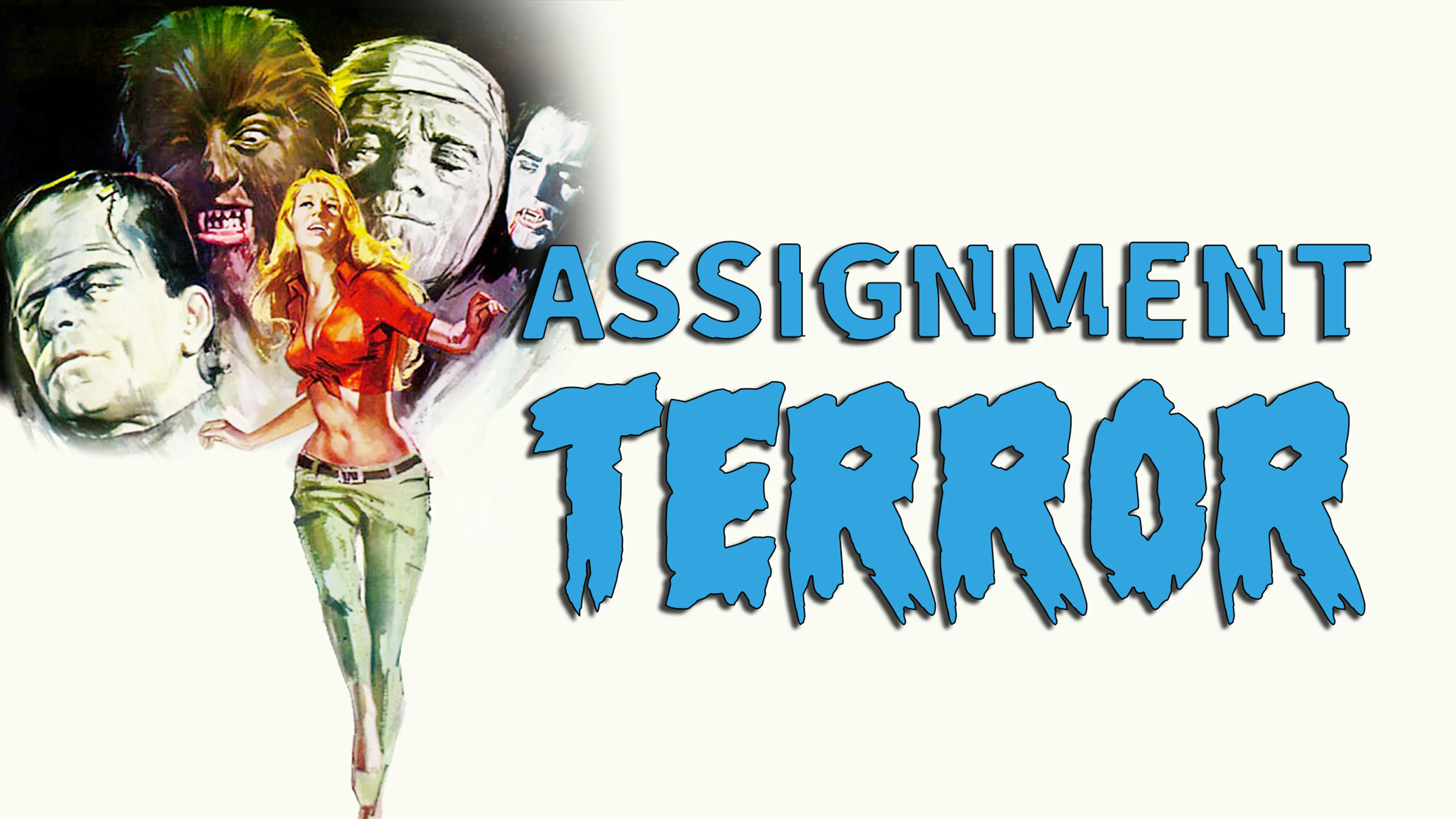 Assignment Terror poster